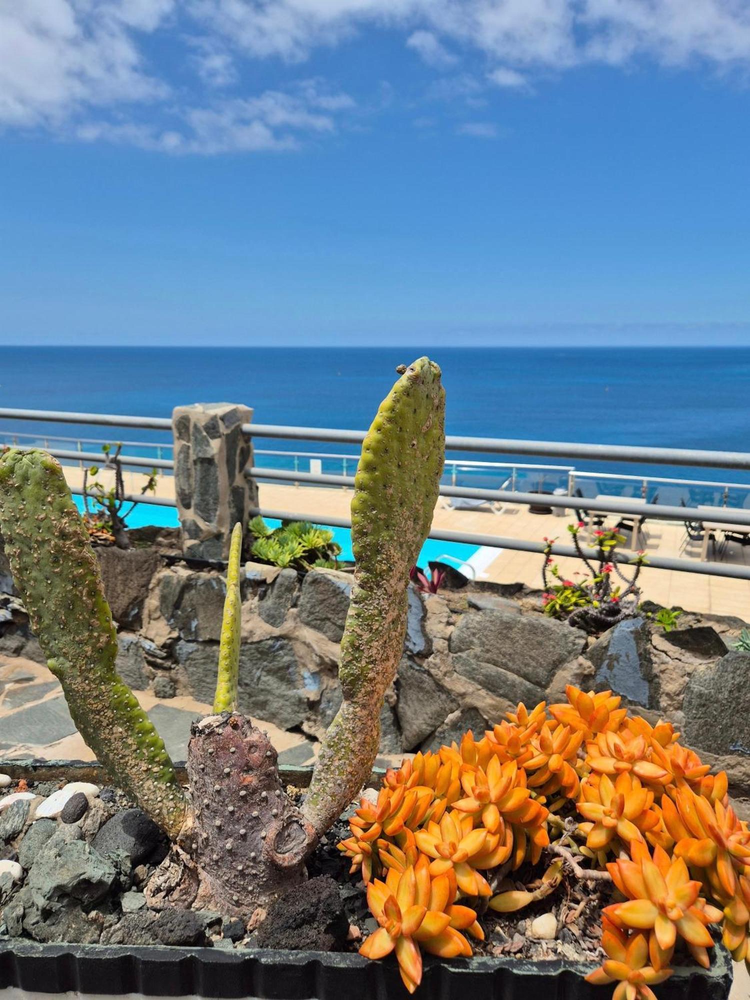 Very Romantic Seaview Apartment Patalavaca Mogan With Warm Pool Exterior foto